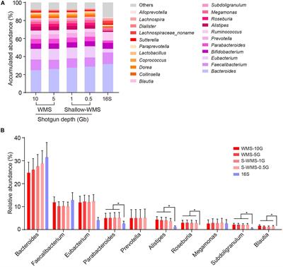 Characterization of Shallow Whole-Metagenome Shotgun Sequencing as a High-Accuracy and Low-Cost Method by Complicated Mock Microbiomes